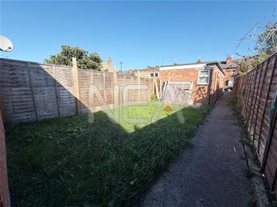 Picture 11